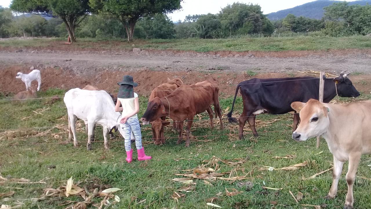 Fazenda à venda com 2 quartos, 120m² - Foto 4