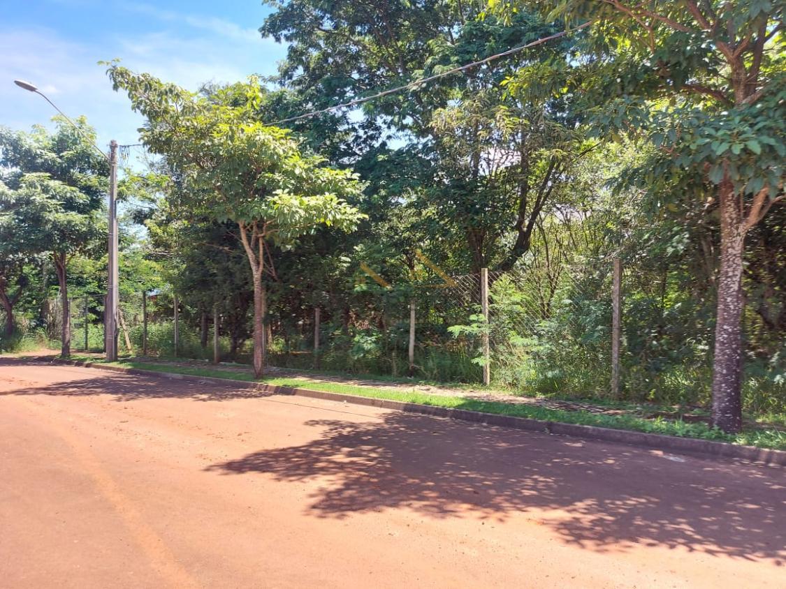 Terreno, 250 m² - Foto 6