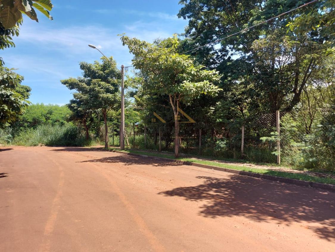 Terreno, 250 m² - Foto 5