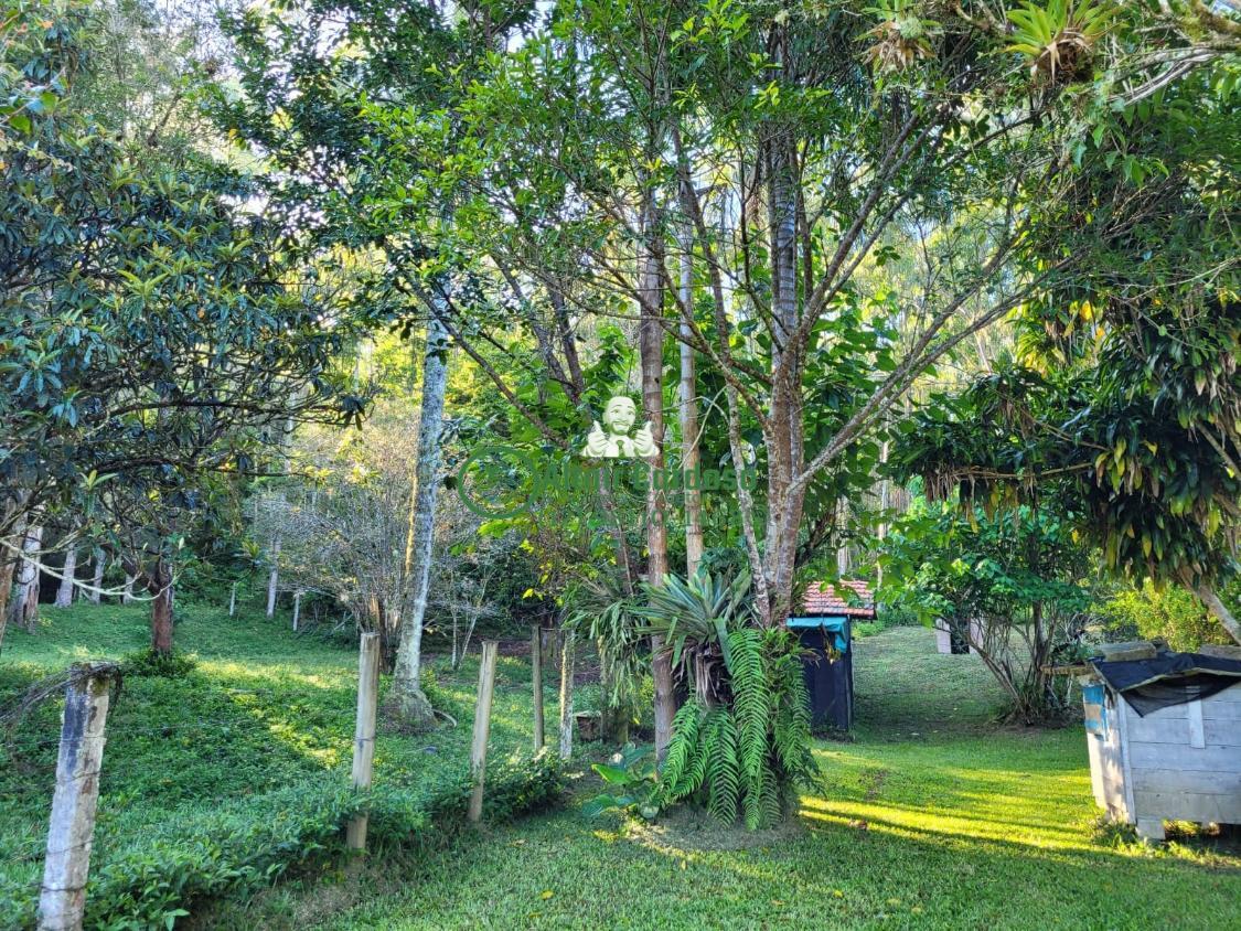 Sítio à venda com 8 quartos, 181500m² - Foto 7