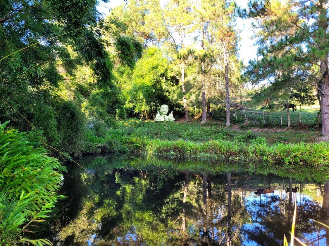 Sítio à venda com 8 quartos, 181500m² - Foto 18