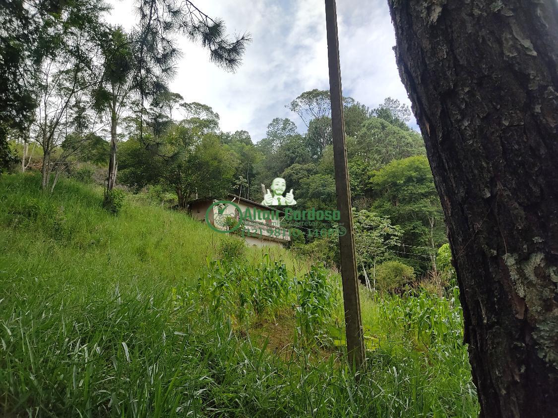 Chácara à venda com 4 quartos, 6700m² - Foto 5