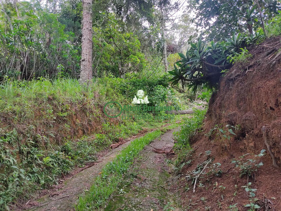 Chácara à venda com 4 quartos, 6700m² - Foto 4