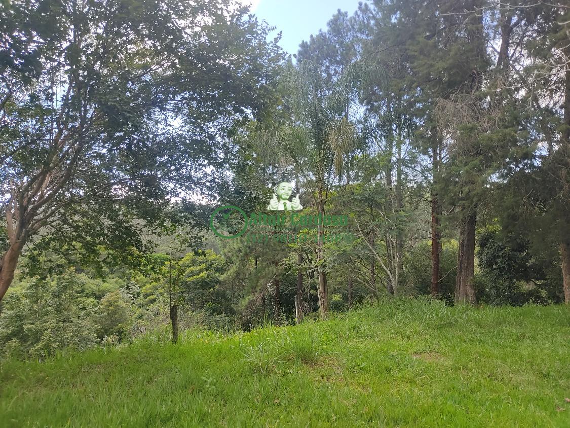 Chácara à venda com 4 quartos, 6700m² - Foto 8