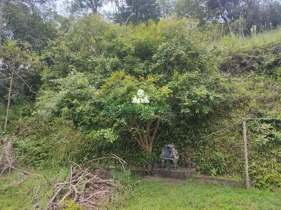 Chácara à venda com 4 quartos, 6700m² - Foto 10