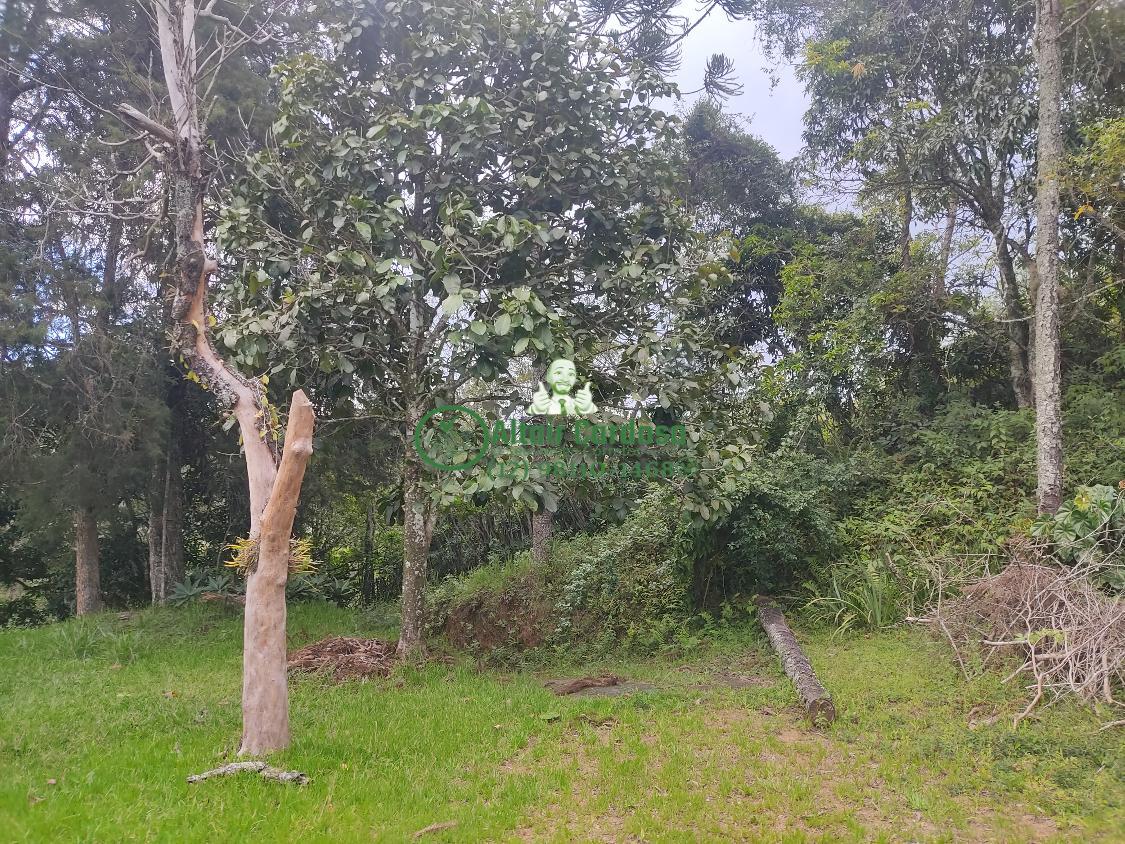 Chácara à venda com 4 quartos, 6700m² - Foto 9