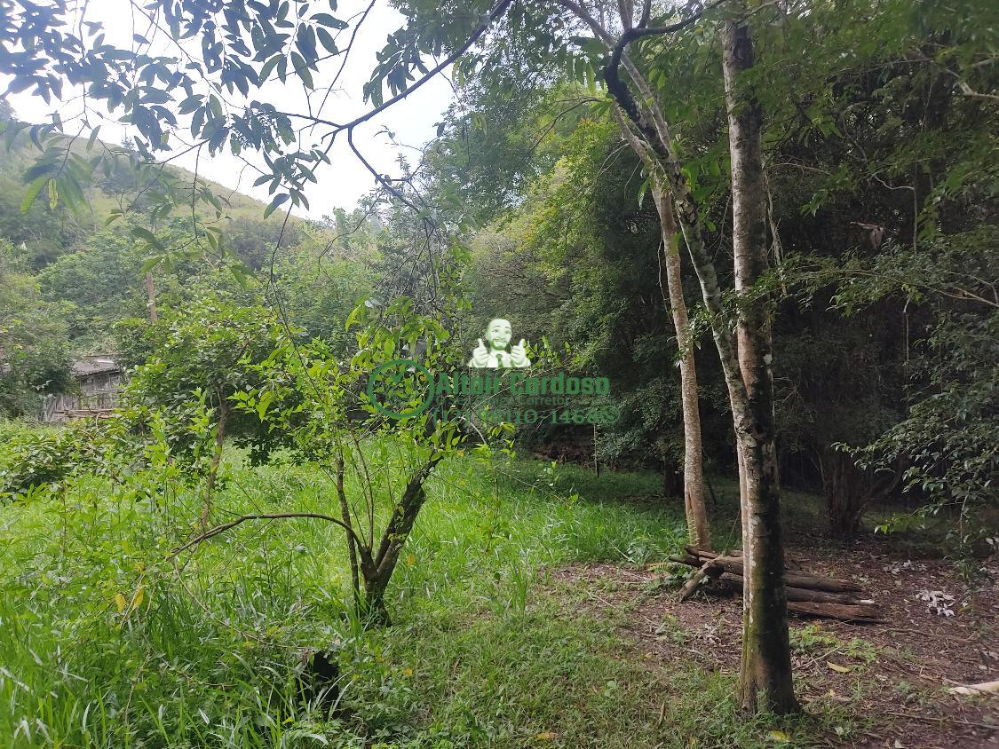 Chácara à venda com 4 quartos, 6700m² - Foto 6