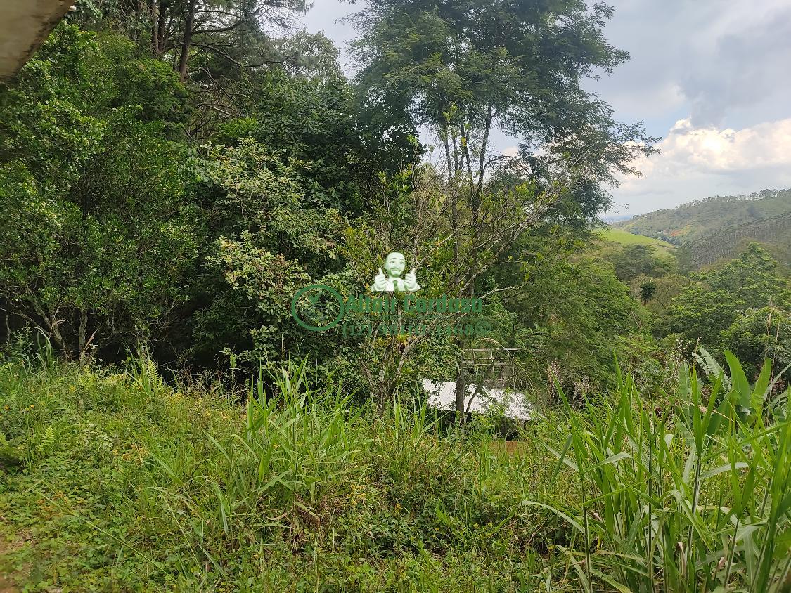 Chácara à venda com 4 quartos, 6700m² - Foto 24