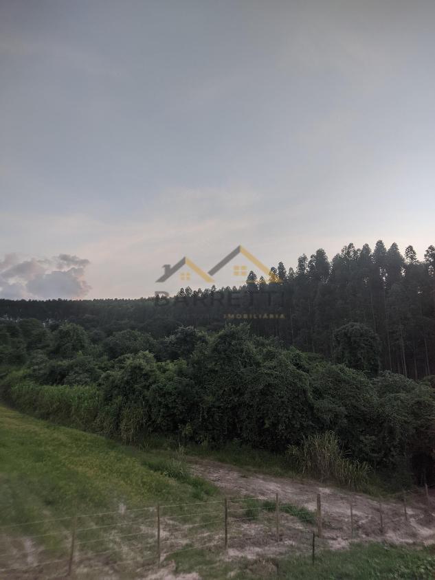 Sítio à venda com 1 quarto, 500m² - Foto 5