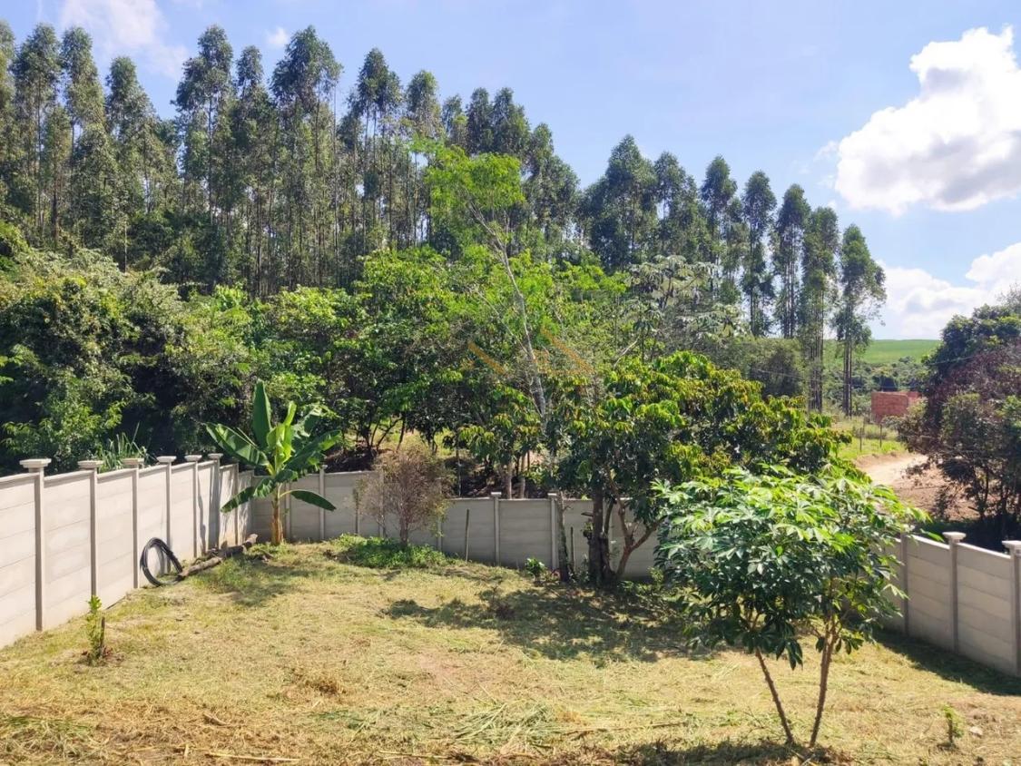 Sítio à venda com 1 quarto, 500m² - Foto 6