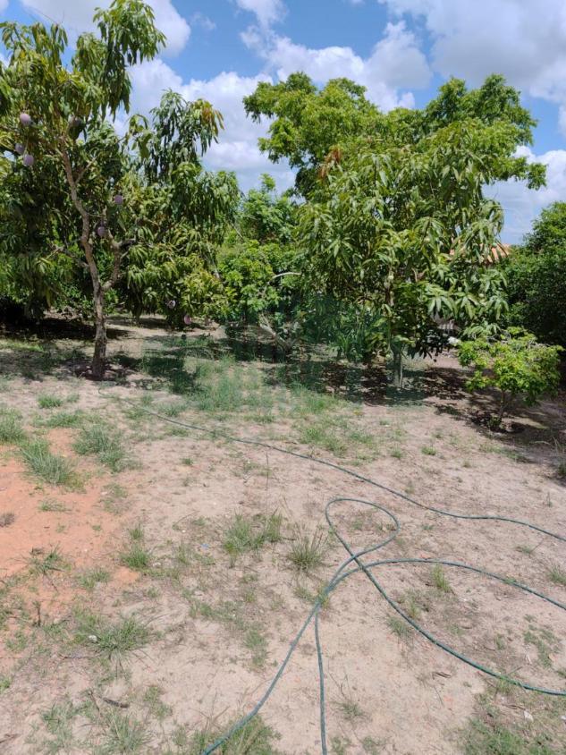 Chácara à venda, 2300m² - Foto 23