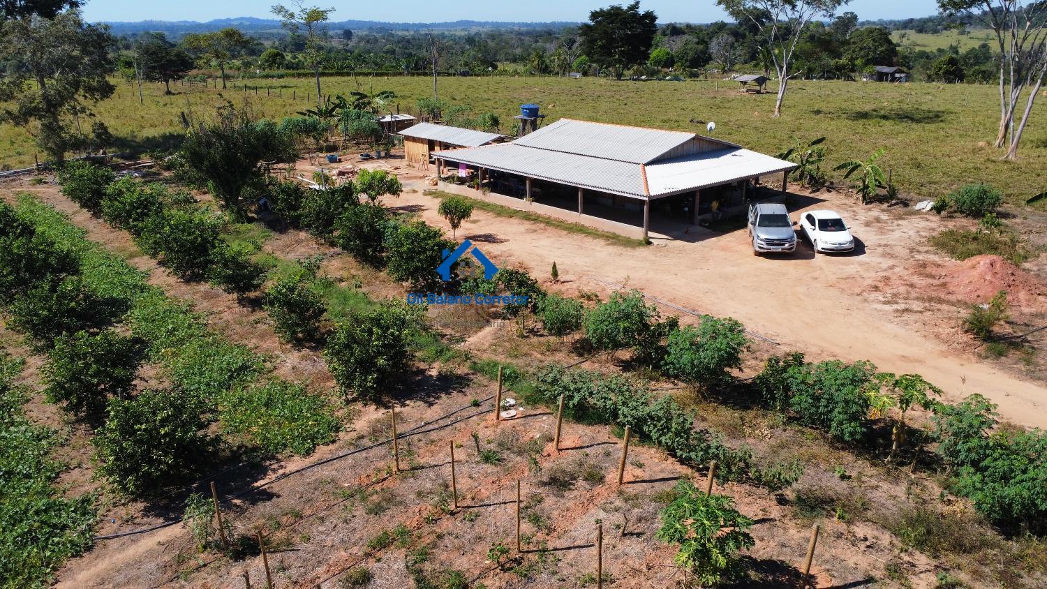 Chácara à venda com 3 quartos, 300m² - Foto 1