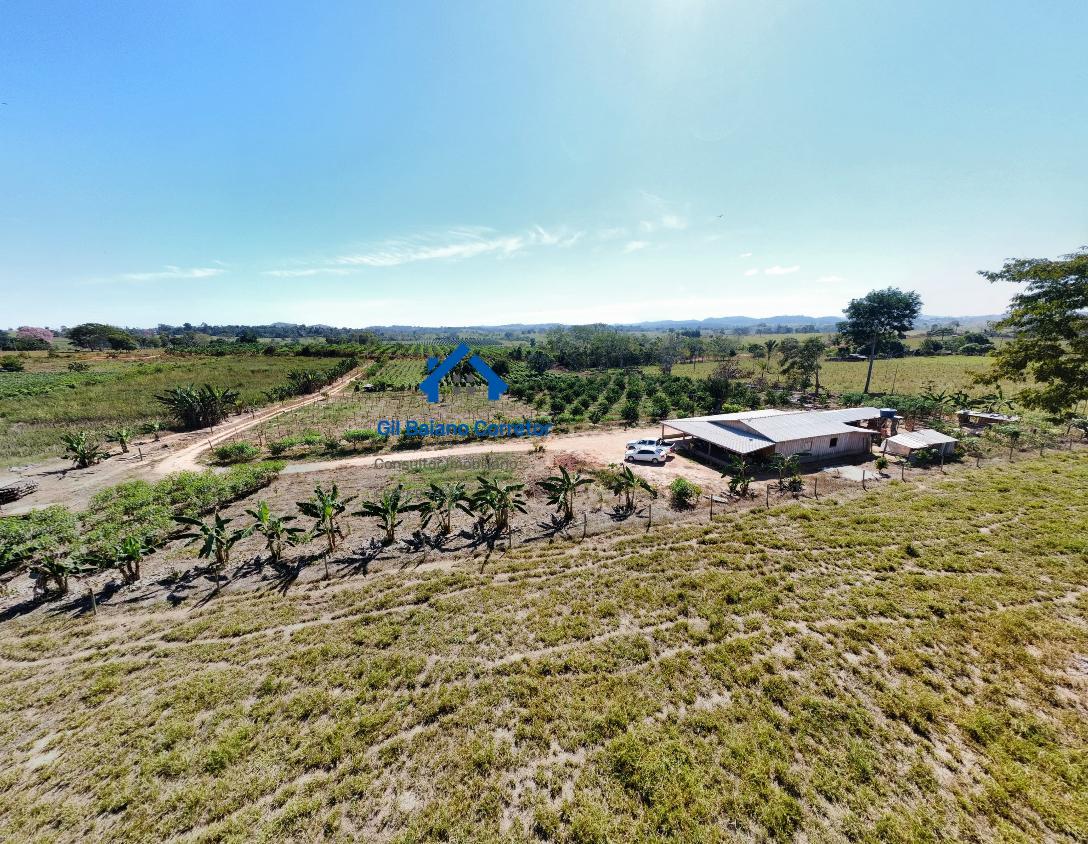 Chácara à venda com 3 quartos, 300m² - Foto 4