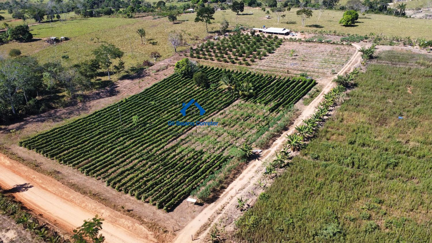 Chácara à venda com 3 quartos, 300m² - Foto 8