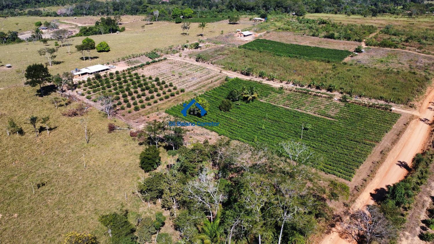 Chácara à venda com 3 quartos, 300m² - Foto 7