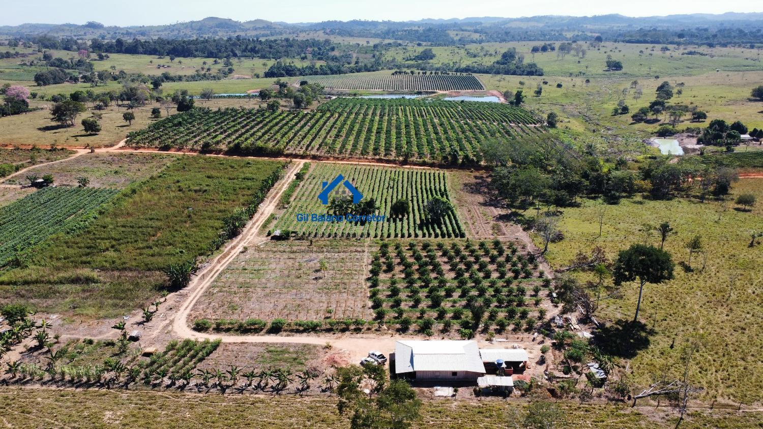 Chácara à venda com 3 quartos, 300m² - Foto 2