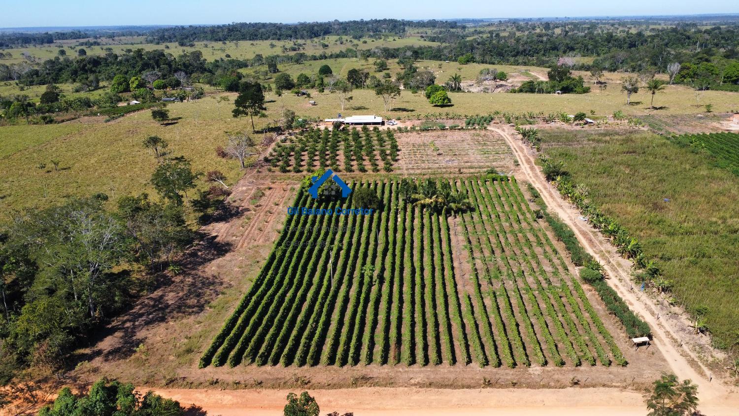 Chácara à venda com 3 quartos, 300m² - Foto 6