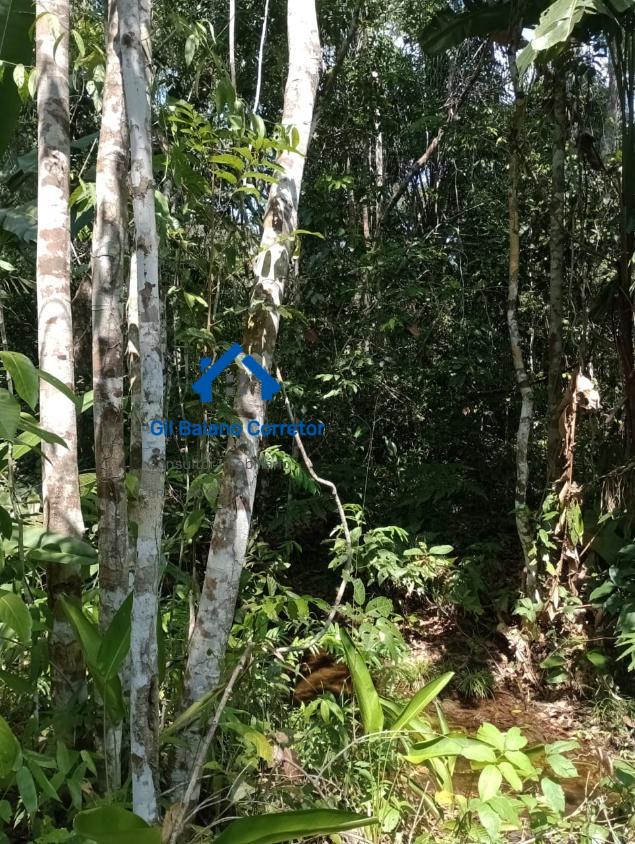 Fazenda à venda com 2 quartos - Foto 4