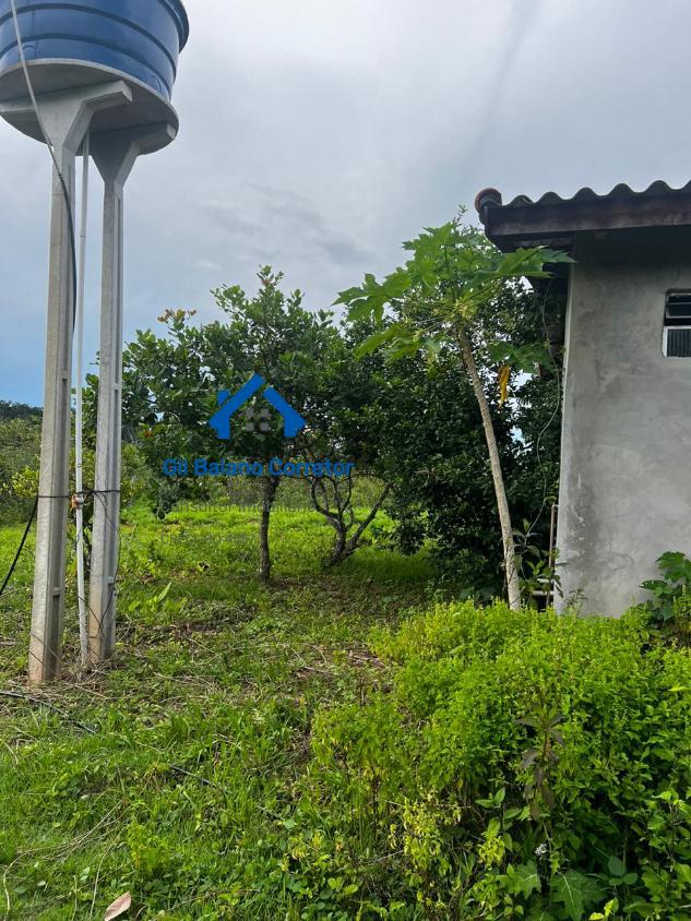Fazenda à venda com 2 quartos - Foto 17