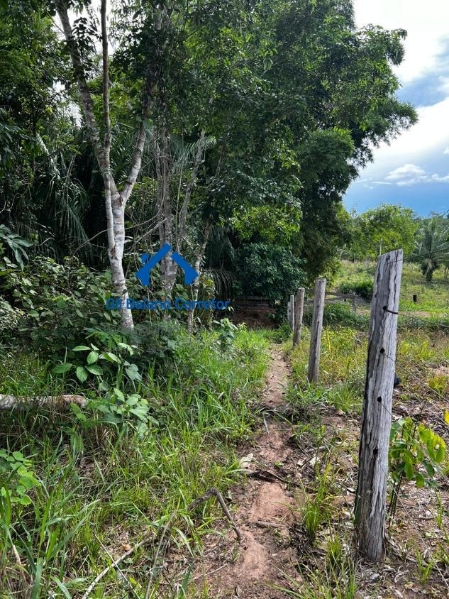 Fazenda à venda com 2 quartos - Foto 21