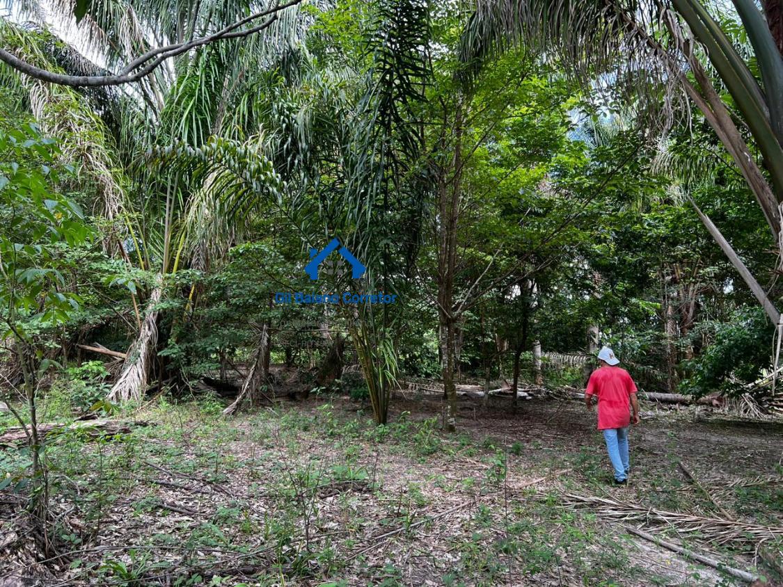 Fazenda à venda com 2 quartos - Foto 7