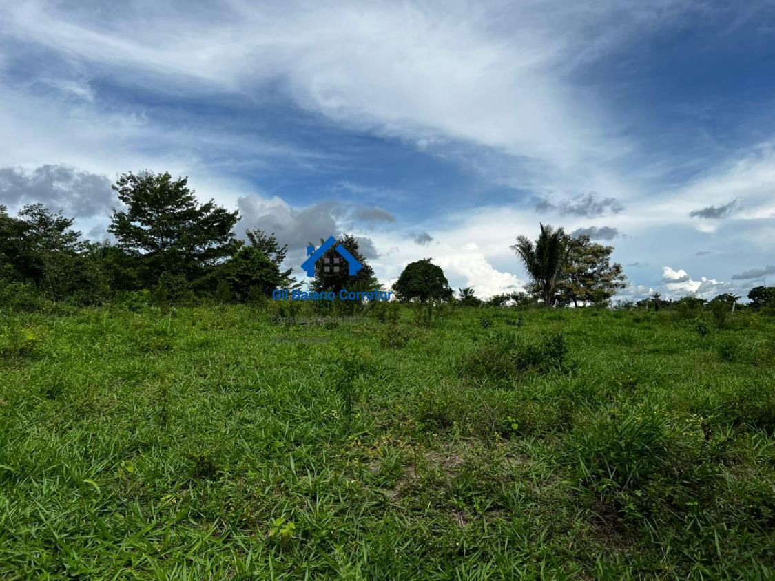 Fazenda à venda com 2 quartos - Foto 8