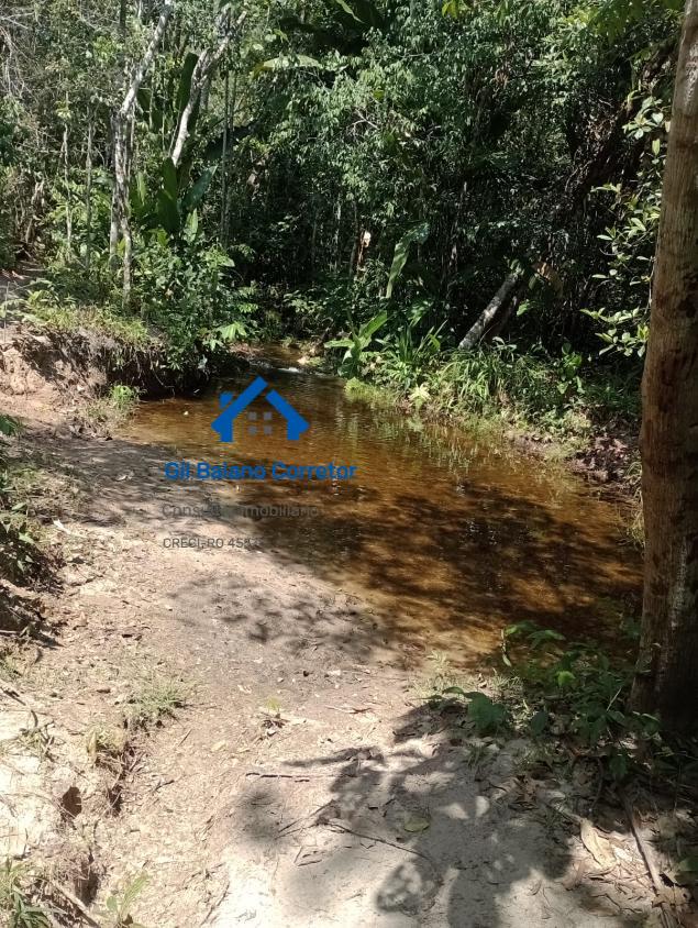 Fazenda à venda com 2 quartos - Foto 9