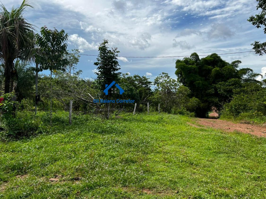 Fazenda à venda com 2 quartos - Foto 14