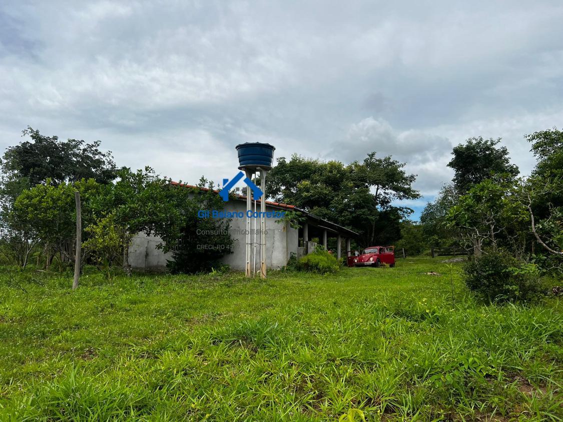 Fazenda à venda com 2 quartos - Foto 1