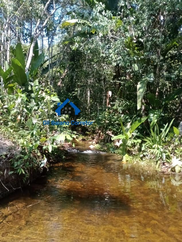 Fazenda à venda com 2 quartos - Foto 10