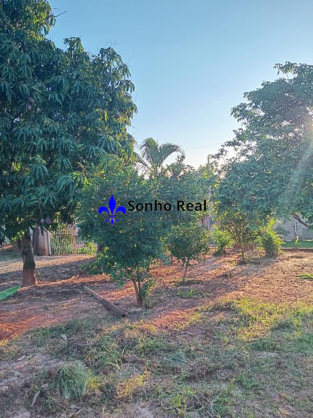 Fazenda à venda com 4 quartos, 1000m² - Foto 2