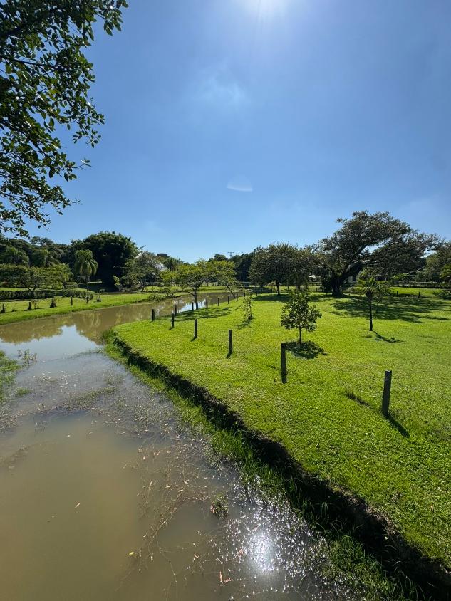 Terreno à venda, 1000m² - Foto 11