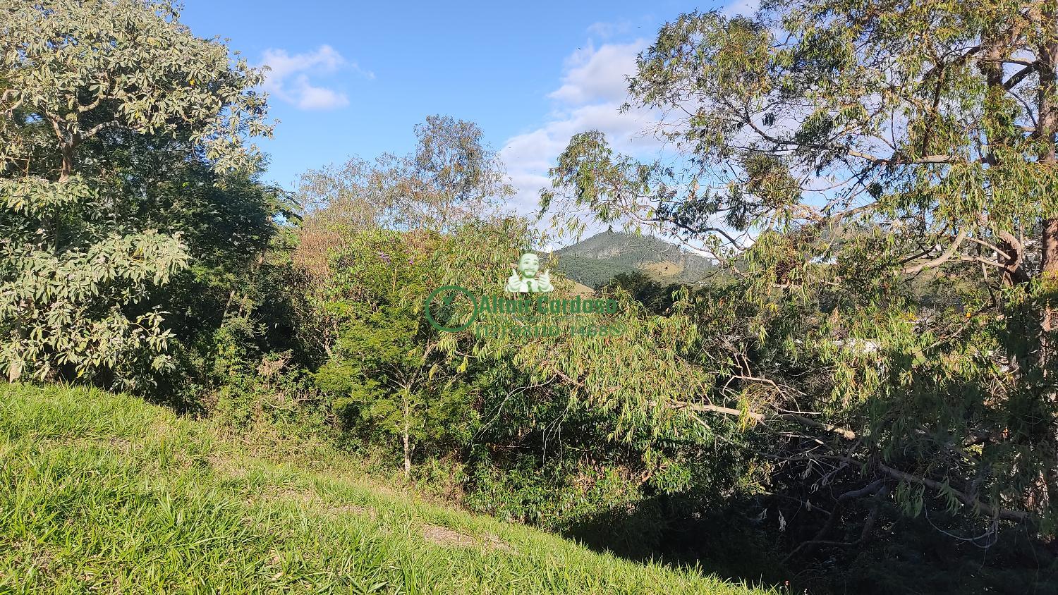 Terreno à venda, 2879m² - Foto 3