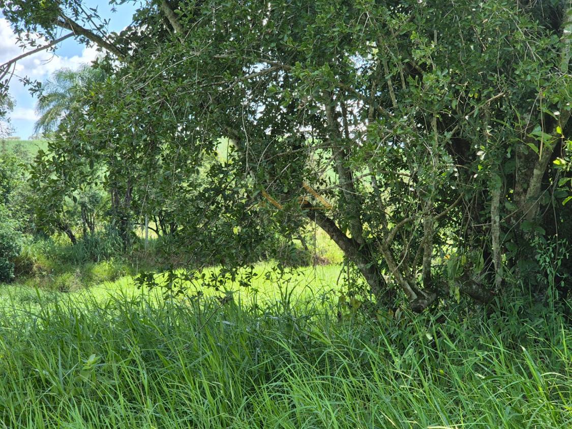 Sítio à venda, 179000m² - Foto 14