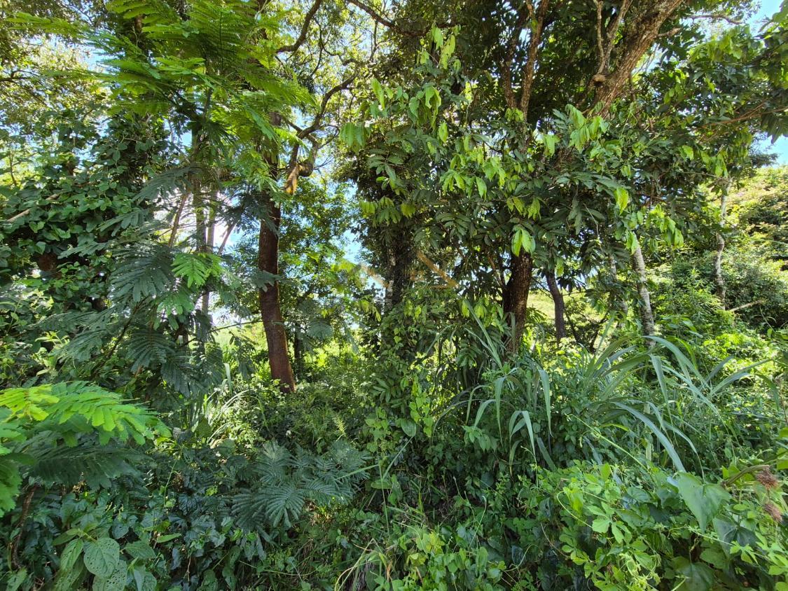 Sítio à venda, 179000m² - Foto 15