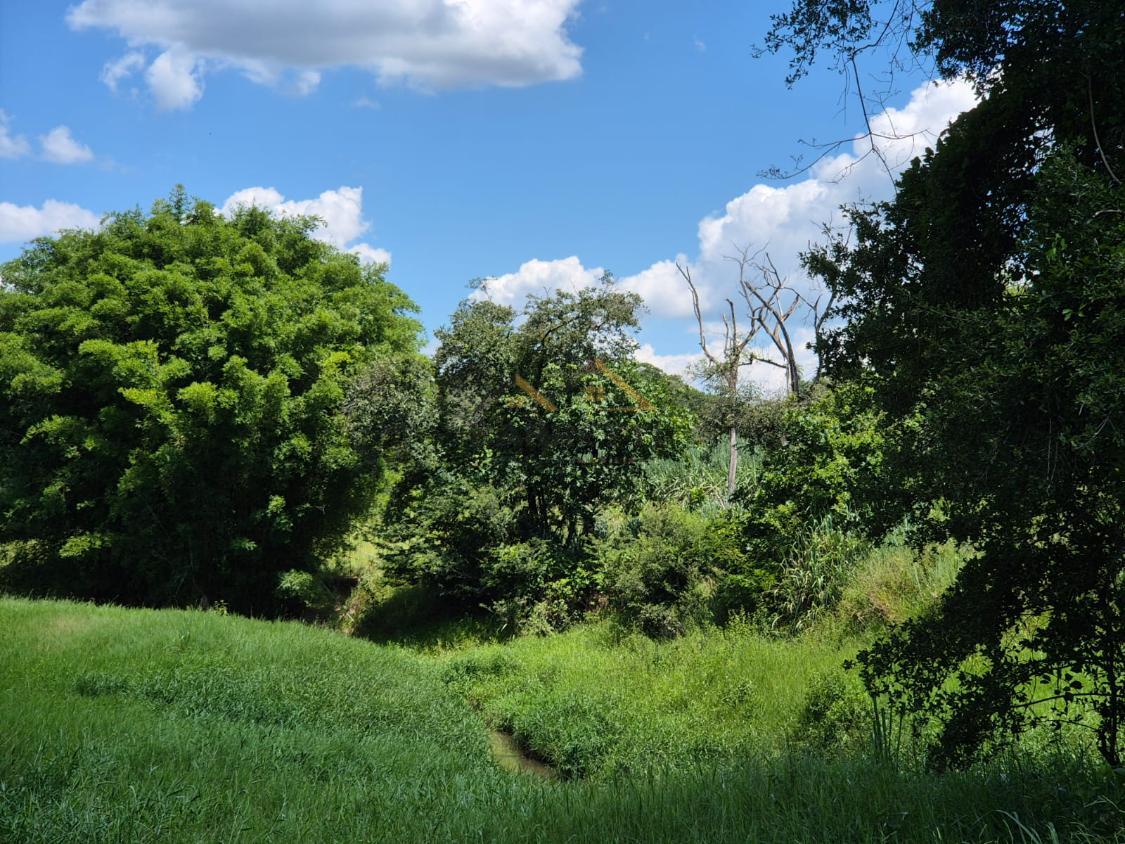 Sítio à venda, 179000m² - Foto 11