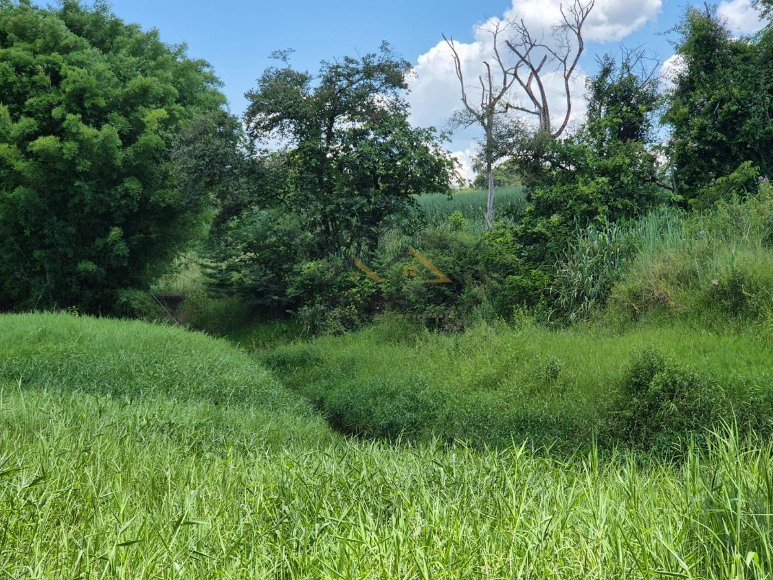 Sítio à venda, 179000m² - Foto 10