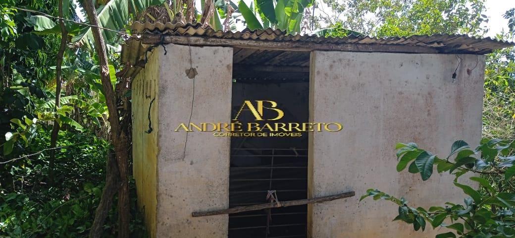 Chácara à venda com 4 quartos, 2599m² - Foto 9