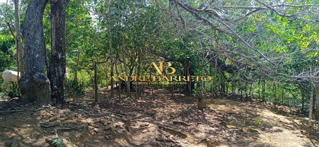 Chácara à venda com 4 quartos, 2599m² - Foto 21