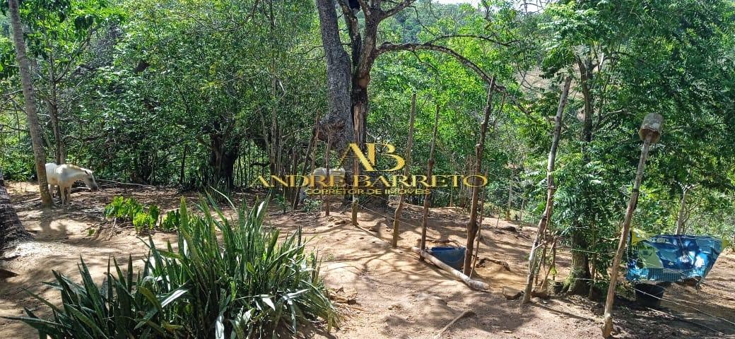 Chácara à venda com 4 quartos, 2599m² - Foto 25