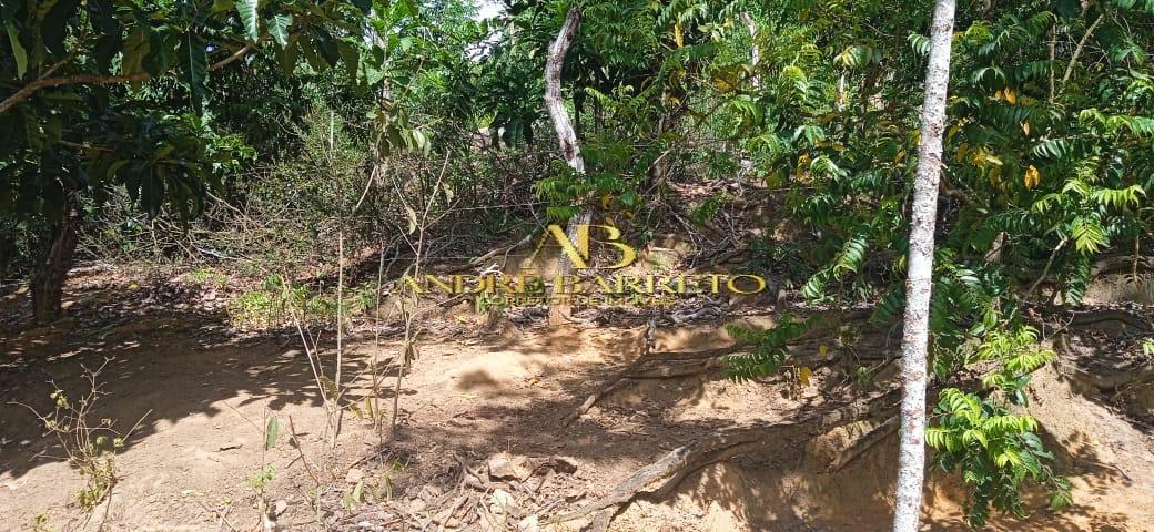Chácara à venda com 4 quartos, 2599m² - Foto 18