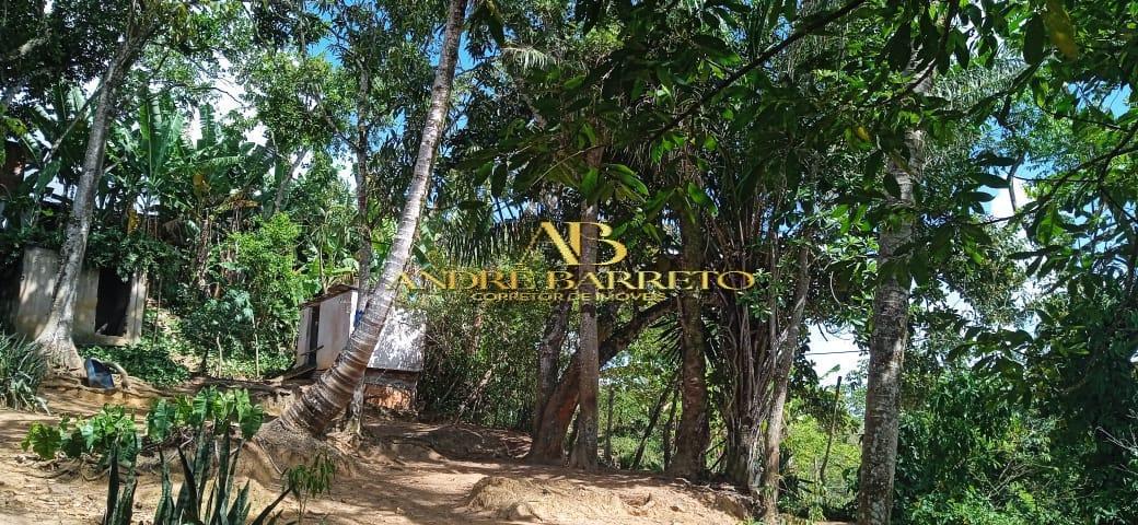 Chácara à venda com 4 quartos, 2599m² - Foto 22
