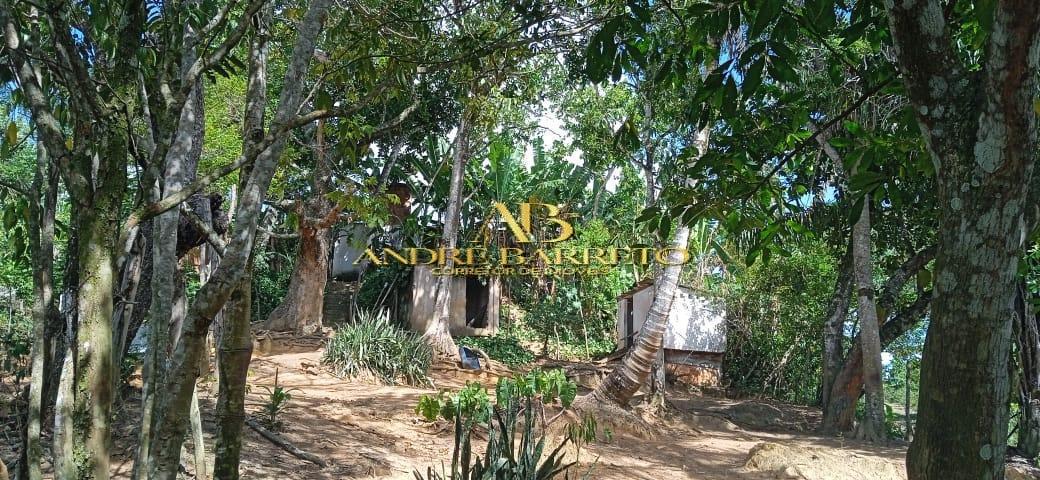 Chácara à venda com 4 quartos, 2599m² - Foto 20
