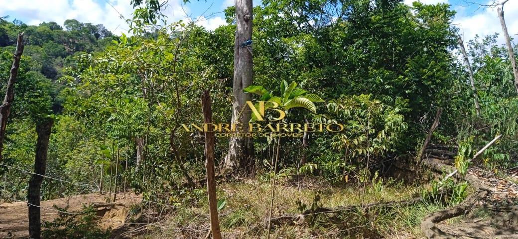 Chácara à venda com 4 quartos, 2599m² - Foto 24