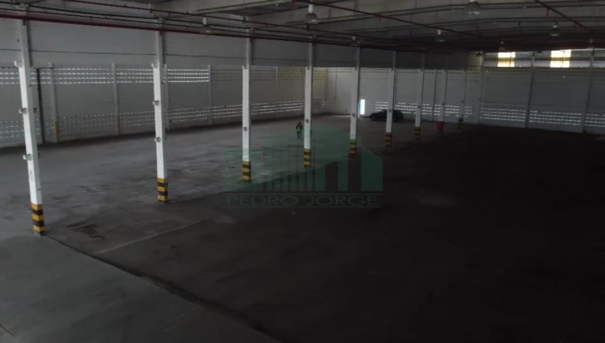 Depósito-Galpão - Foto 12