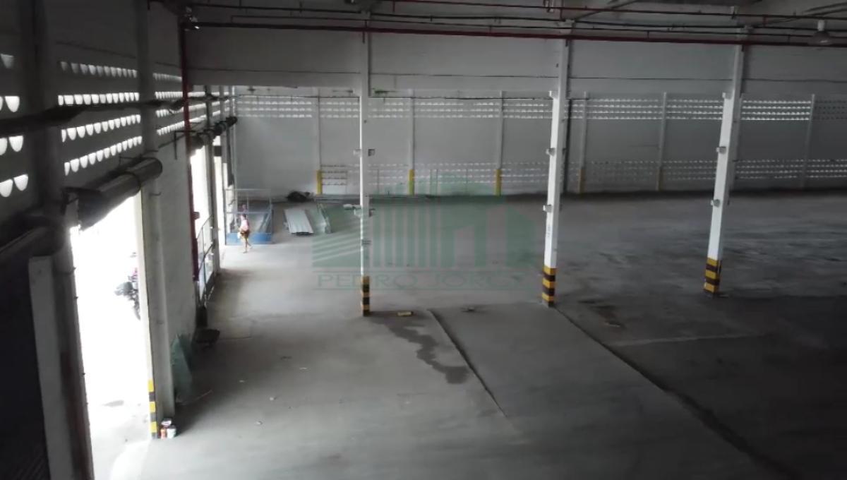 Depósito-Galpão - Foto 13