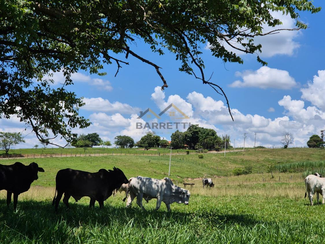 Sítio à venda, 66000m² - Foto 2