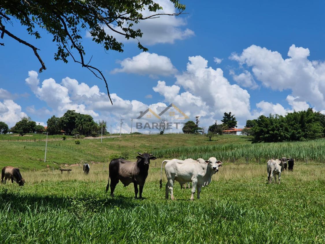 Sítio à venda, 66000m² - Foto 18