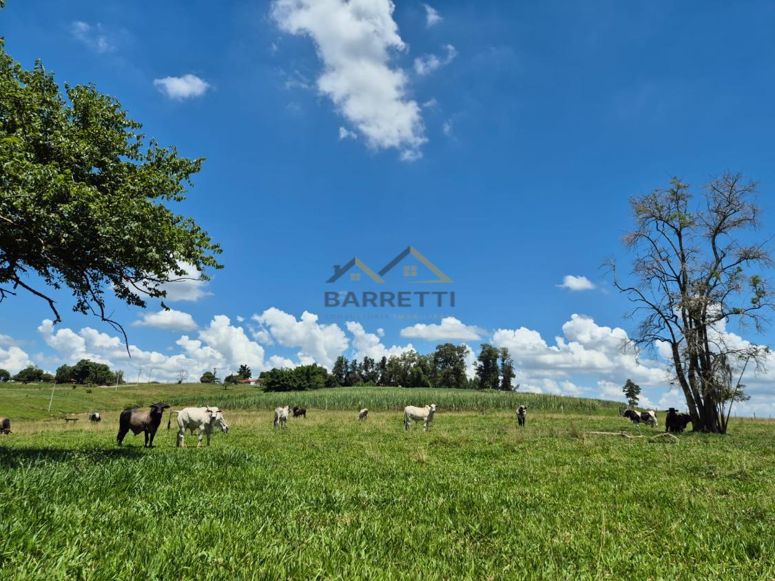 Sítio à venda, 66000m² - Foto 12