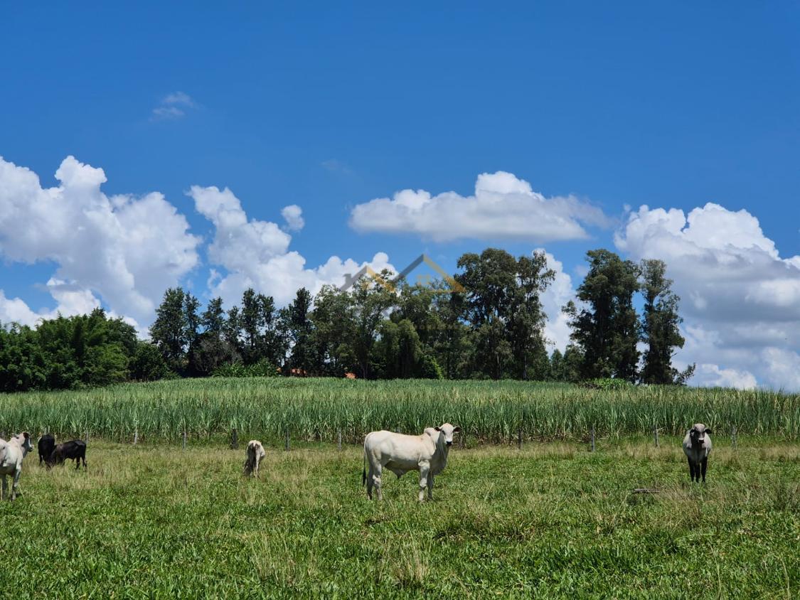 Sítio à venda, 66000m² - Foto 11